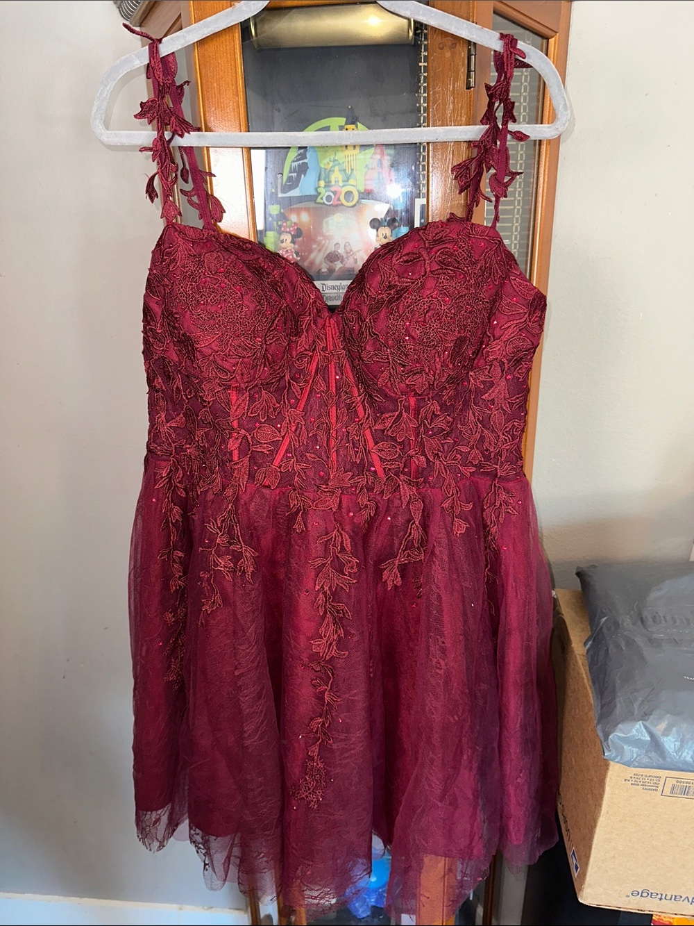 Wine Red Embroidered Mini Dress